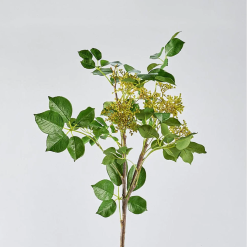 Fall Seeded Branch