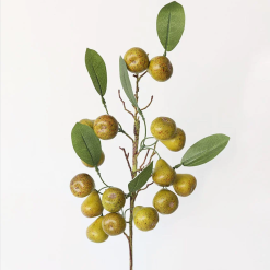 Autumn Pear Branch