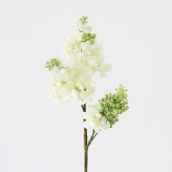 Fake Lilacs Flower